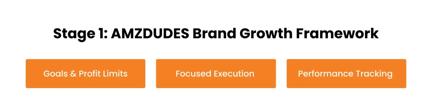 image showing stage 1 of AMZDUDES brand growth framework
